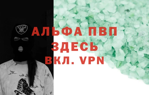 гидра Калининец