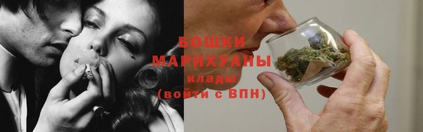 гидра Калининец