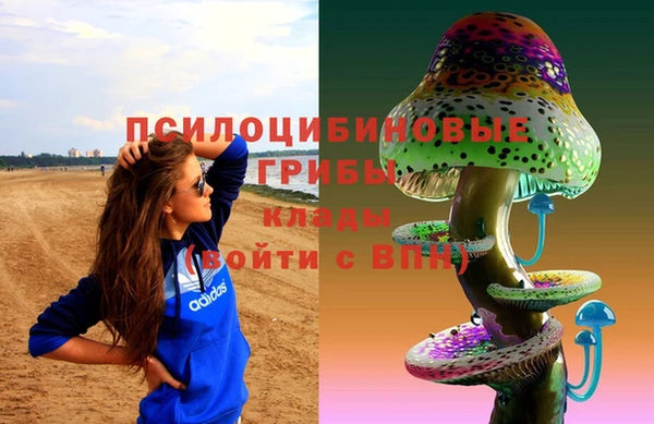 мяу мяу мука Осташков
