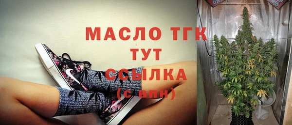 гидра Калининец