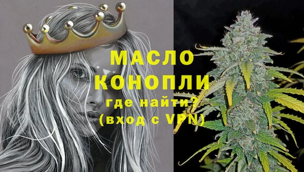 гидра Калининец